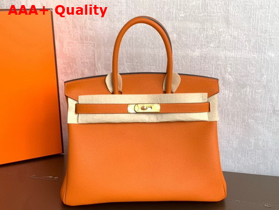 Hermes Birkin 25 Orange Togo Calfskin Replica