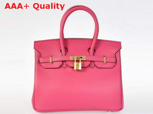 Hermes Birkin 25 Peach Gold Replica