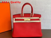 Hermes Birkin 25 Red Togo Calfskin Replica