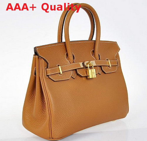 Hermes Birkin 25 Tan Gold Replica