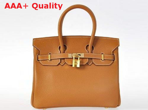 Hermes Birkin 25 Tan Gold Replica