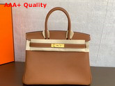 Hermes Birkin 25 Tan Togo Calfskin Replica