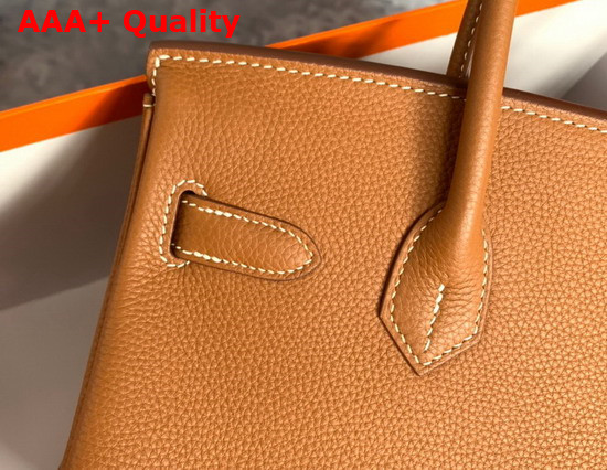 Hermes Birkin 25 Tan Togo Calfskin Replica