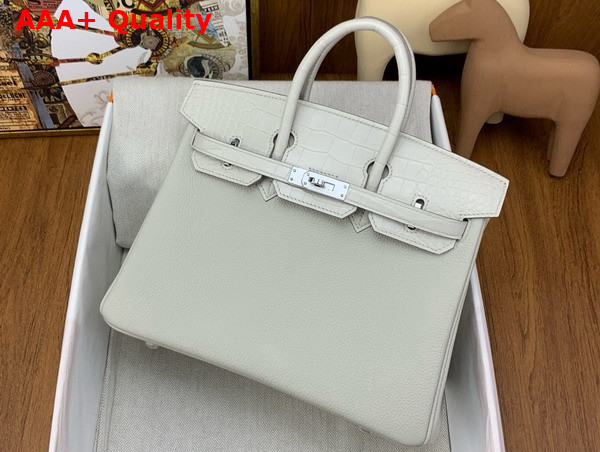 Hermes Birkin 25 in Glacier Togo Calfskin and Alligator Replica