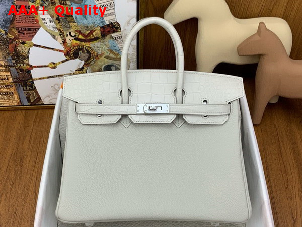 Hermes Birkin 25 in Glacier Togo Calfskin and Alligator Replica