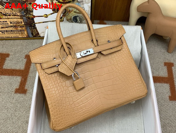 Hermes Birkin 25 in Milk Tea Color Alligator Replica