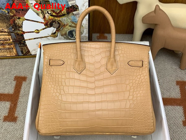 Hermes Birkin 25 in Milk Tea Color Alligator Replica