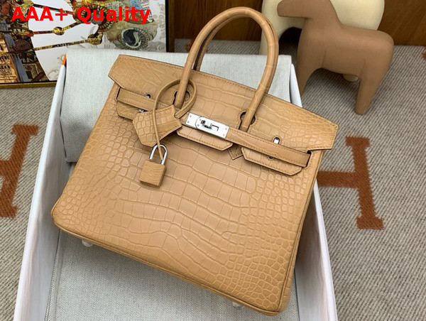 Hermes Birkin 25 in Milk Tea Color Alligator Replica