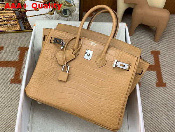 Hermes Birkin 25 in Milk Tea Color Alligator Replica