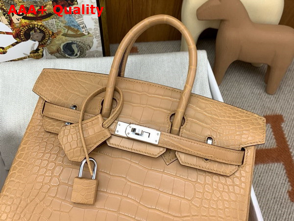 Hermes Birkin 25 in Milk Tea Color Alligator Replica