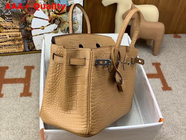 Hermes Birkin 25 in Milk Tea Color Alligator Replica