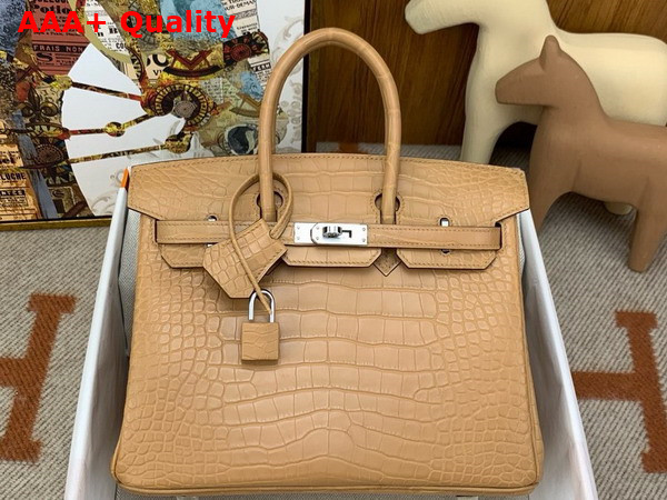 Hermes Birkin 25 in Milk Tea Color Alligator Replica