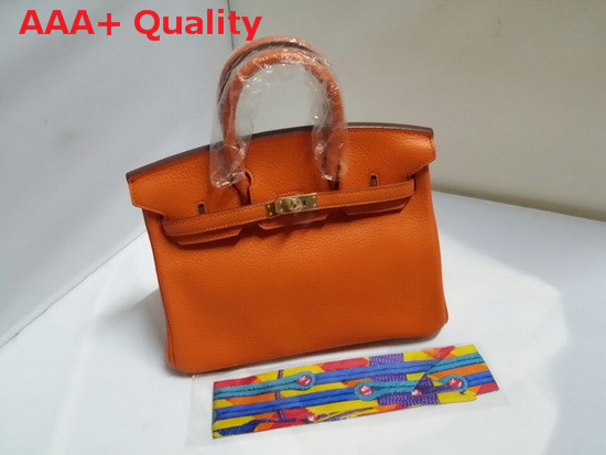 Hermes Birkin 25 in Orange Togo Leather Gold Hardware Replica