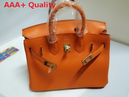 Hermes Birkin 25 in Orange Togo Leather Gold Hardware Replica