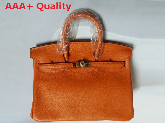 Hermes Birkin 25 in Orange Togo Leather Gold Hardware Replica