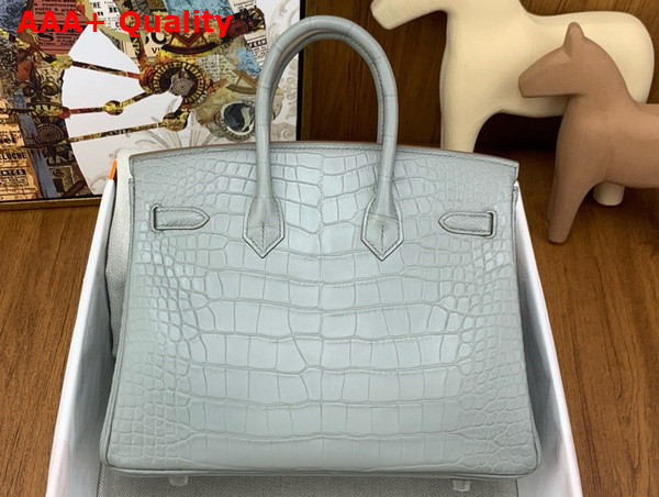 Hermes Birkin 25 in Pearl Grey Alligator Replica