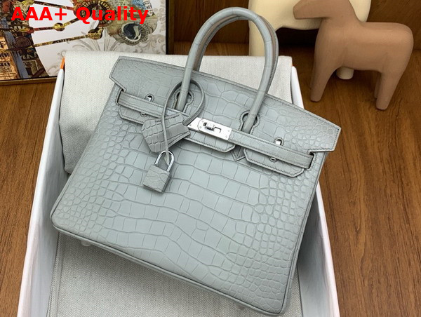 Hermes Birkin 25 in Pearl Grey Alligator Replica