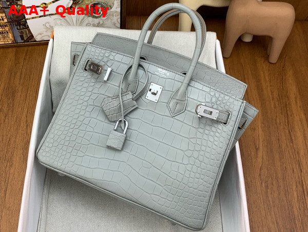 Hermes Birkin 25 in Pearl Grey Alligator Replica