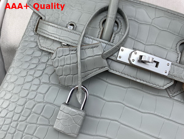 Hermes Birkin 25 in Pearl Grey Alligator Replica