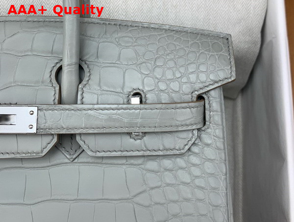 Hermes Birkin 25 in Pearl Grey Alligator Replica