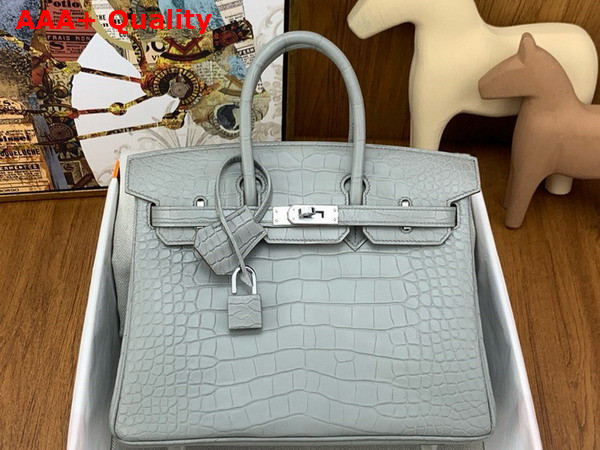 Hermes Birkin 25 in Pearl Grey Alligator Replica