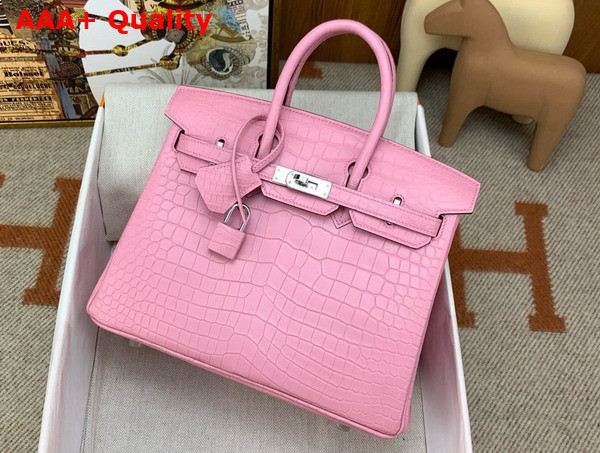 Hermes Birkin 25 in Powder Pink Alligator Replica