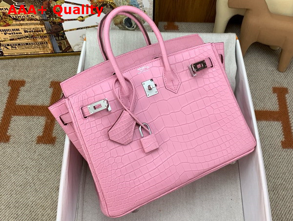 Hermes Birkin 25 in Powder Pink Alligator Replica