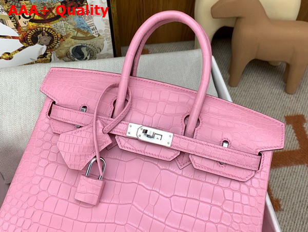 Hermes Birkin 25 in Powder Pink Alligator Replica