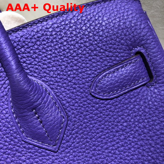 Hermes Birkin 30 Bag in Purple Togo Calfskin Hand Stitching Replica