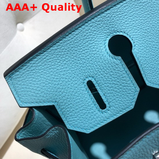 Hermes Birkin 30 Bag in Sky Blue Togo Calfskin Hand Stitching Replica