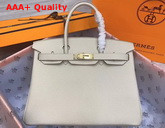 Hermes Birkin 30 Beige Togo Calfskin Replica