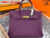 Hermes Birkin 30 Purple Togo Calfskin Replica