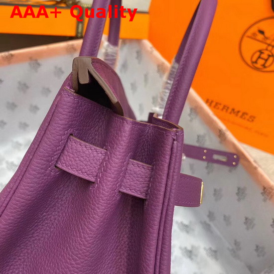 Hermes Birkin 30 Purple Togo Calfskin Replica