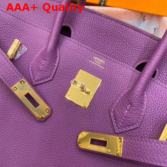 Hermes Birkin 30 Purple Togo Calfskin Replica