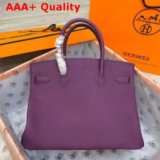 Hermes Birkin 30 Purple Togo Calfskin Replica