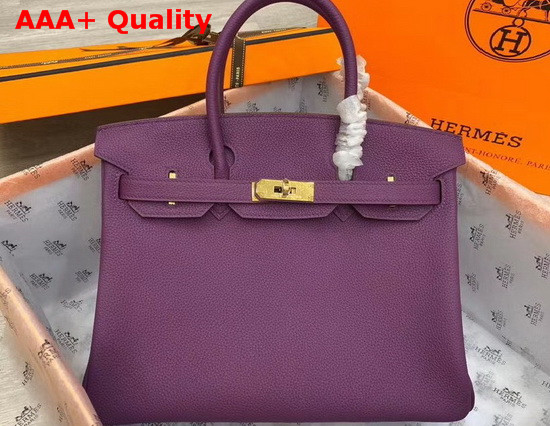 Hermes Birkin 30 Purple Togo Calfskin Replica