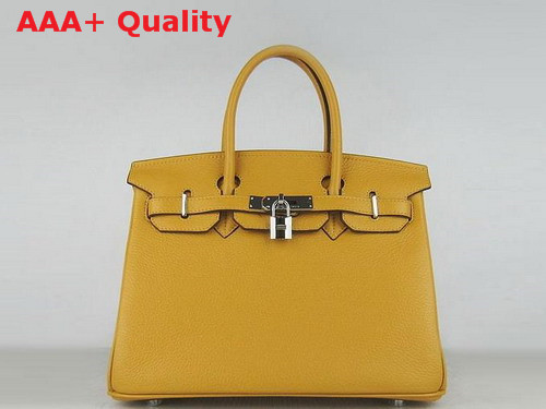 Hermes Fake Hermes Birkin 30 Yellow Togo Leather Silver Hardware Replica