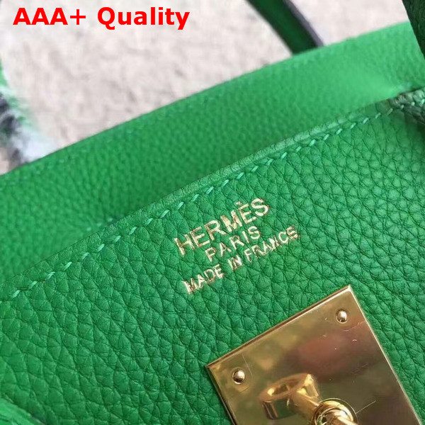 Hermes Birkin 30 in Green Togo Leather with Gold Hardware Replica