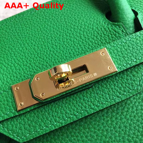 Hermes Birkin 30 in Green Togo Leather with Gold Hardware Replica