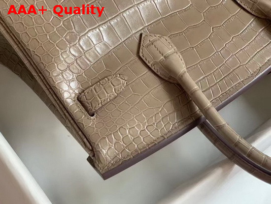 Hermes Birkin 30 in Grey Crocodile Embossed Calfskin Replica