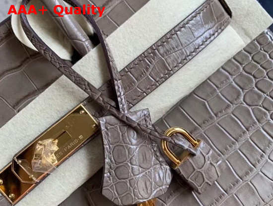 Hermes Birkin 30 in Grey Crocodile Embossed Calfskin Replica