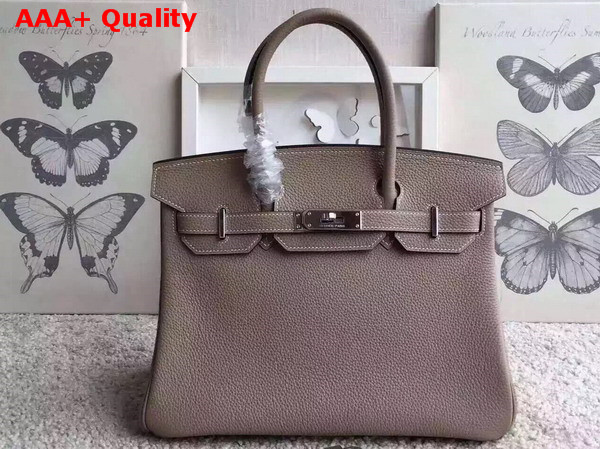 Hermes Birkin 30 in Light Grey Togo Leather with Silver Lock Replica