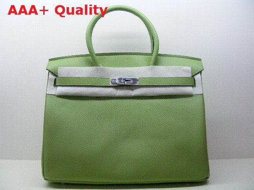 Hermes Birkin 35 Apple Green Togo Leather With Silver Replica