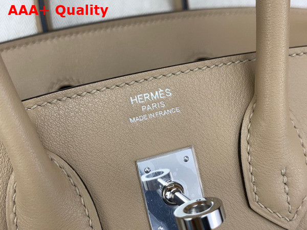 Hermes Birkin 25 Natural Canvas and Light Grey Swift Calfskin Replica