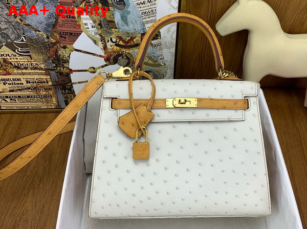 Hermes Contrast Kelly Sellier 25 Bag in Ostrich Leather Glacier and Sand Replica