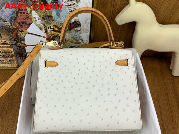 Hermes Contrast Kelly Sellier 25 Bag in Ostrich Leather Glacier and Sand Replica