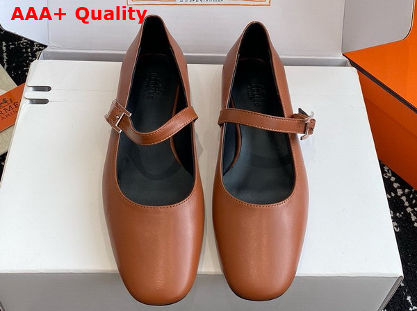 Hermes Jane Ballet Flat in Marron Alezan Goatskin Replica