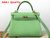 Hermes Kelly 25 in Apple Green Togo Calfskin Replica