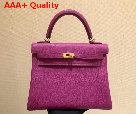 Hermes Kelly 25 in Light PurpleTogo Calfskin Replica