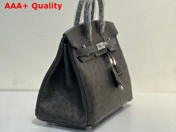 Hermes Ostrich Birkin 25 Bag in Black Replica